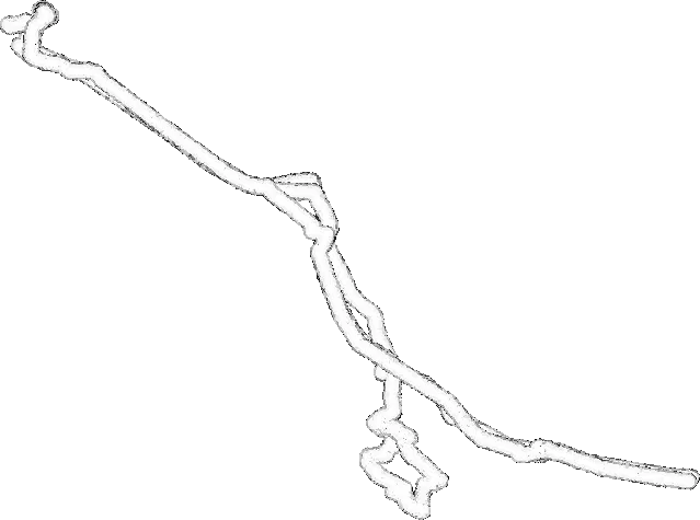 Umrisszeichnung einer langgestreckten Röhrenstruktur, die diagonal durchs Bild läuft und sich unten in wenige Arme teilt, ohne Schattierung