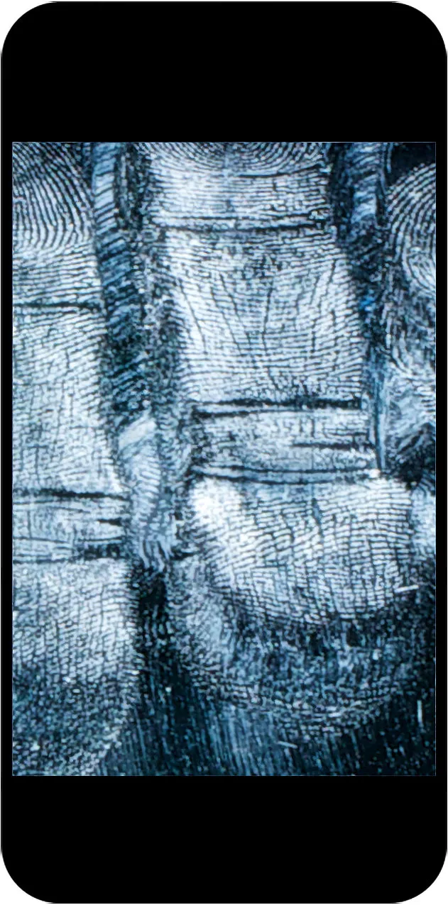 Dasselbe Smartphone, auf dem Display stehen helle, fast rechteckige Felder aus Rillenlinien übereinander