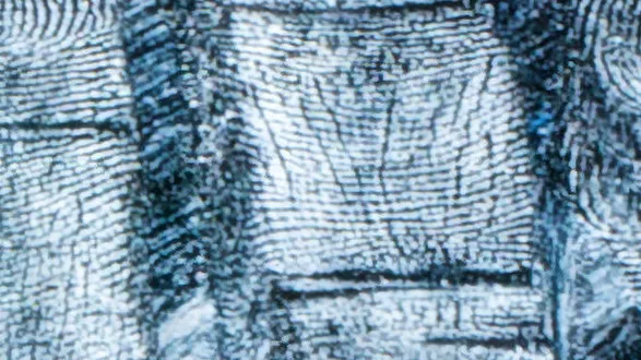 Very close view of a display, fine pale ridge lines from fingertips over a bluish ground